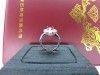 緬甸產天然紅寶石 2.27ct 9.56*6.58*4.70mm 18K n0175-03